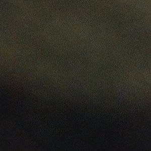 Meet your Posher, Massiel